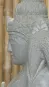 morepic-7